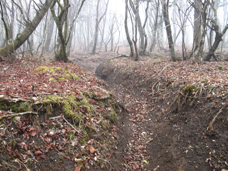 20181205hike (28)